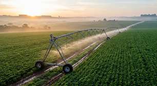Irrigação agrícola evita conversão de terras e reduz impacto climático, aponta estudo