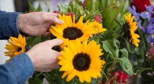 Boas energias: conheça 4 flores essenciais para cultivar em casa