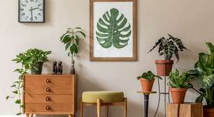 Plantas dos anos 80 estão de volta: 5 espécies para trazer personalidade ao lar