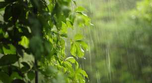 Sonhar com chuva: o que significa e como interpretar