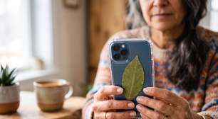 Por que tantas pessoas estão colocando uma folha de louro atrás da capa do celular? Entenda o significado do ritual que virou febre para atrair dinheiro e proteção