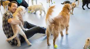 Síndrome de Noé: entenda o transtorno do acúmulo compulsivo de animais