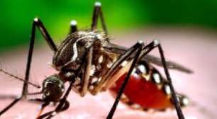Olinda registra quarta morte por dengue confirmada em Pernambuco no ano; casos passam de 11 mil