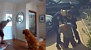 Golden retriever encanta internautas ao tentar brincar com bandido que invadiu a sua casa