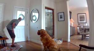 Cachorro viraliza ao tentar brincar com homem que invadiu sua casa; veja vídeo