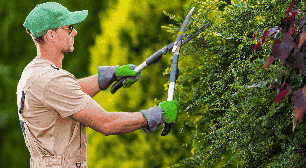 Jardinagem para iniciantes: 5 dicas para quem quer começar
