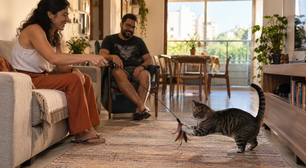 Existe um erro na brincadeira com gatos que pode ensinar o animal a atacar justamente aquilo que você menos quer