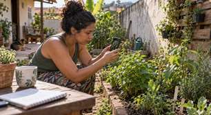 Mulher começou a tomar um chá feito com uma planta que crescia no próprio quintal porque uma vizinha dizia que "sempre usou", mas parou de achar a receita inofensiva quando os mesmos sintomas começaram a aparecer todos os dias