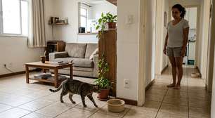A água do seu gato pode estar no lugar errado mesmo que o pote esteja sempre cheio