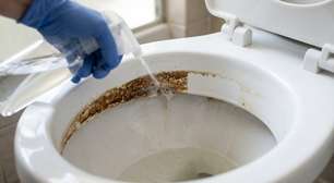 O truque infalível para remover manchas marrons do vaso sanitário
