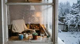 Se você guardou plástico bolha, tem um tesouro: como usá-lo em casa durante o frio extremo