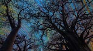 Céu estrelado de Botsuana rende prêmio internacional a astrofotógrafo italiano