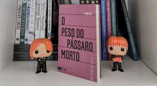 Coloquei Aline Bei na mesa de minha filha, porque a poesia está tanto nos amores como nos chinelos