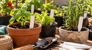 Como criar um marcador de plantas que não desaparece depois da primeira rega