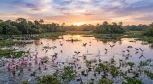 Rios que transbordam, planícies inundáveis e uma impressionante diversidade de animais: a área protegida de 187 mil hectares no Centro-Oeste que representa uma pequena parcela de um dos maiores sistemas úmidos de água doce do planeta