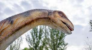 Fósseis encontrados na Espanha apontam que o dinossauro Diplodocus não existia só nos EUA