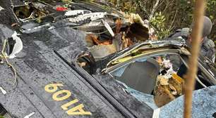 Missão de resgate após queda de helicóptero no interior de SP resulta em prisão de foragido; veja o vídeo