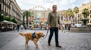 A Lei de Bem-Estar Animal já está em vigor: ela proíbe que donos de cães e gatos permitam que seus animais de estimação participem dessas atividades