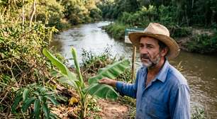 Produtor plantou pé de manga e banana na beira do rio da própria terra e levou multa: fiscal explica o detalhe na lei que proíbe fruto exótico em Área de Preservação
