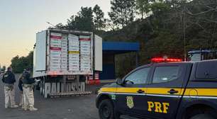 Quase 19 toneladas de peixes apreendidos no Litoral Norte