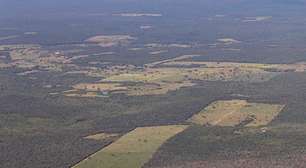 Agricultura cresce 11 milhões de hectares em 41 anos na Mata Atlântica