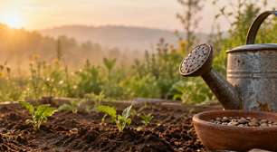 Primavera e prosperidade: 7 práticas do Xamanismo para o ciclo