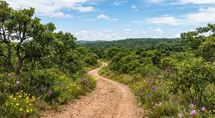 Uma trilha de 3,5 quilômetros atravessa diferentes paisagens do Cerrado até chegar a uma nascente: o jardim botânico brasileiro que ainda mantém percursos de até 12 quilômetros entre campos, matas de galeria e vegetação nativa