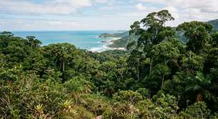 Oito áreas protegidas, 112 mil hectares de Mata Atlântica e restingas e uma concentração extraordinária de espécies endêmicas: o trecho entre o sul da Bahia e o norte do Espírito Santo que preserva alguns dos remanescentes mais valiosos da floresta costeira brasileira