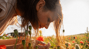 O que é o equinócio da primavera? Entenda o fenômeno e aprenda rituais simbólicos
