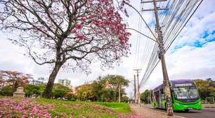 Primavera chegou! Veja o que esperar do tempo nesta nova estação no RS