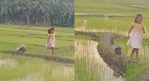 No Sri Lanka: amizade de menina de 7 anos com porco-espinho encanta web