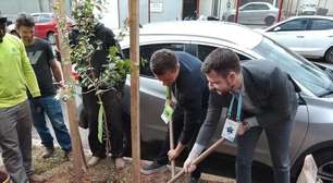 Mil árvores vão transformar paisagem do Distrito da Inovação em Porto Alegre