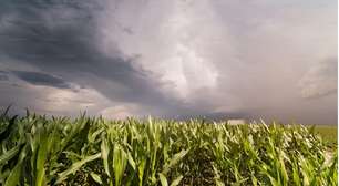 El Niño eleva desafio para a safra de verão