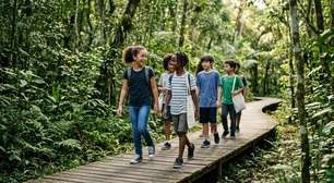 Direito à natureza para crianças e adolescentes vira lei federal e entra no ECA
