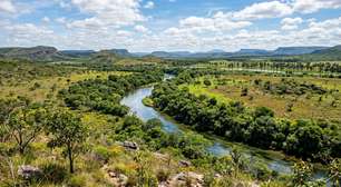 Rios de águas cristalinas, veredas, campos de cerrado e animais ameaçados como lobo-guará e tamanduá-bandeira: a região protegida de mais de 367 mil hectares que conserva um dos biomas mais antigos do mundo