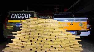 Homem é preso com mais de 170 quilos de maconha após perseguição na BR-285 em Passo Fundo