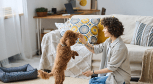 Como se tornar pet sitter? 10 dicas para começar a trabalhar cuidando de animais