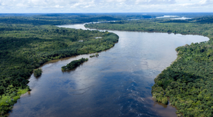 Combate às queimadas e pagamento por serviços: quais as propostas dos candidatos a presidente para o meio ambiente