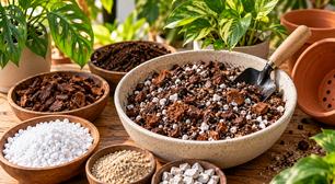 Como preparar um substrato mais drenante para plantas que sofrem com excesso de água
