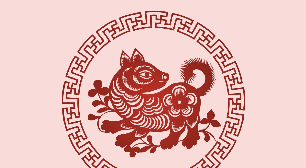 Signo do Cachorro no Horóscopo Chinês: conheça a personalidade e as principais características