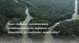 Webinário debate caminhos para investimentos sustentáveis