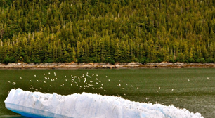 Em 1977, levaram um bloco de gelo de uma tonelada do Alasca até Iowa com um único propósito: descobrir se os icebergs poderiam fornecer água doce