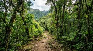 Grutas, cachoeiras, trilhas e um bondinho suspenso sobre a vegetação: a cidade cearense que dá acesso a um parque de 6.299 hectares entre a Caatinga e a Mata Atlântica