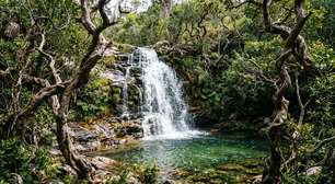 Cachoeiras, casarões do século XVIII e ruas calçadas com pedra quartzítica: a cidade goiana que nasceu como arraial de garimpeiros em 1727 e preservou seu centro histórico aos pés da Serra dos Pireneus