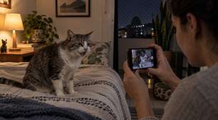 Mudanças no comportamento de pets idosos que merecem uma consulta