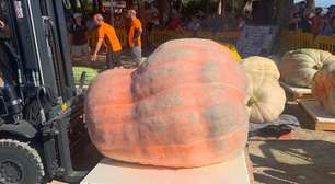 Agricultor espanhol obcecado por abóboras gigantes é dono do recorde nacional de 1.187,5 quilos