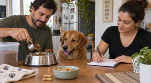 Seu cachorro pede comida o tempo todo? Observe estes sinais antes de aumentar a ração