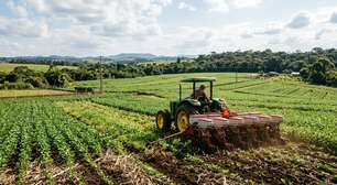 Brasil e Angola oficializam acordo para expandir cooperação agropecuária e investimentos