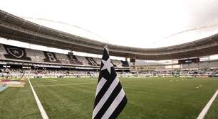 Botafogo aprova novas ações e pode reduzir participação da Eagle na SAF; entenda