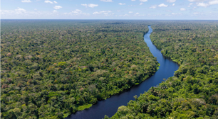Planos dos candidatos para o meio ambiente focam no combate ao desmatamento e 'mostram consenso discursivo amplo', analisam especialistas